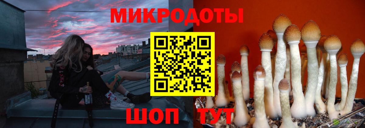 где купить наркотик  Вход с VPN  Советская Гавань  Галлюциногенные грибы Magic Shrooms 